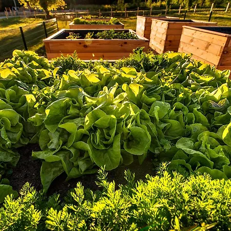 Kompleks Male Dolomity * Hucisko (Silesia)