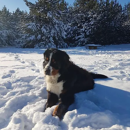 Station touristique Kompleks Male Dolomity *
