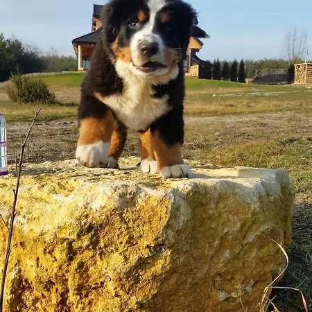 Station touristique Kompleks Male Dolomity *