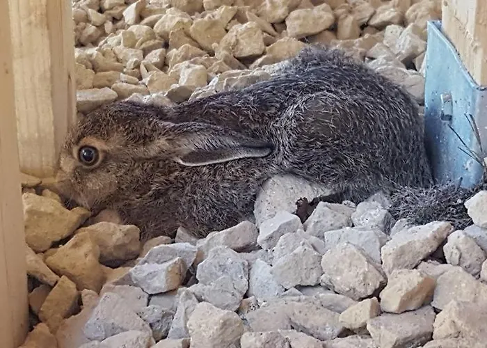 Resort Kompleks Male Dolomity Hucisko (Silesia)