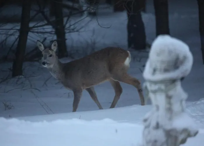 Station touristique Kompleks Male Dolomity *