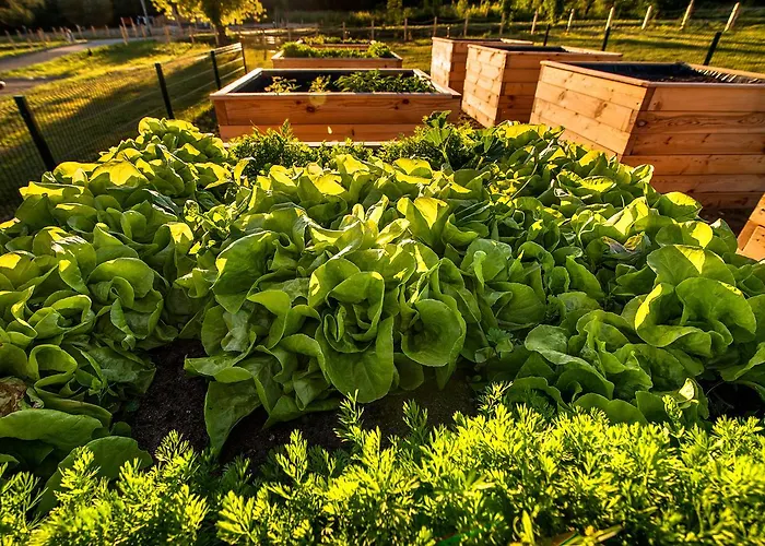 Kompleks Male Dolomity * Hucisko (Silesia)