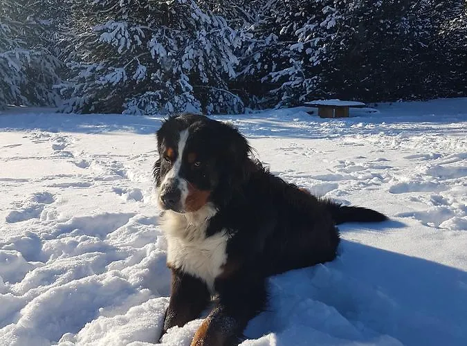 Resort Kompleks Male Dolomity *