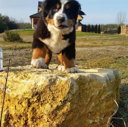 Resort Kompleks Male Dolomity *